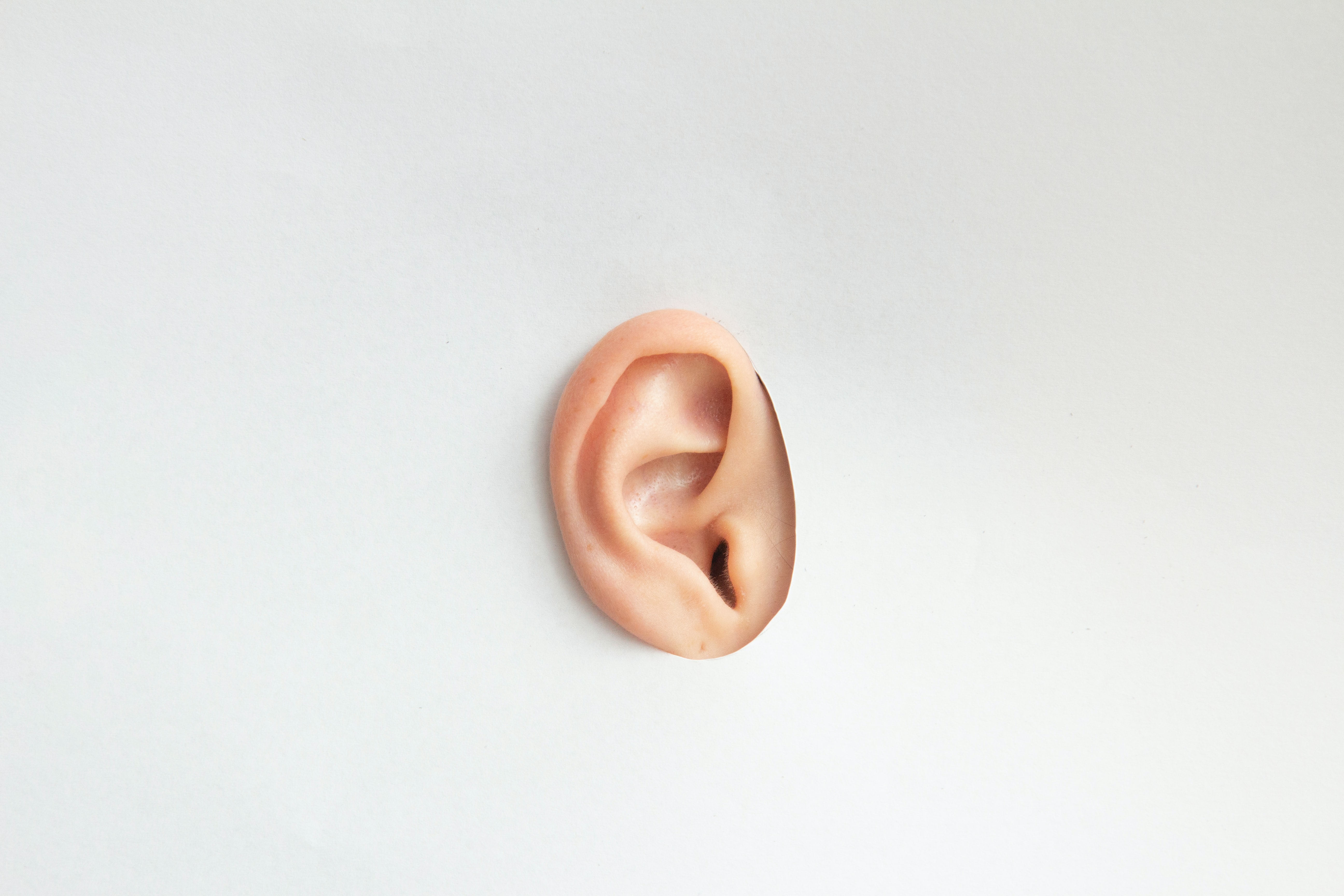 ausu korekcija