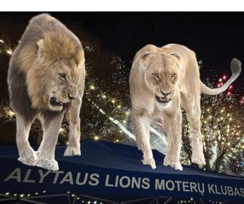 LIONS
