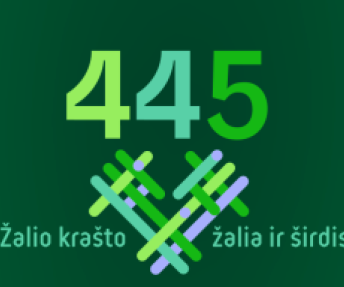Miesto šventė